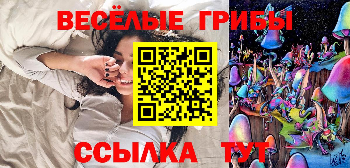 Псилоцибиновые грибы Psilocybine cubensis Лысьва