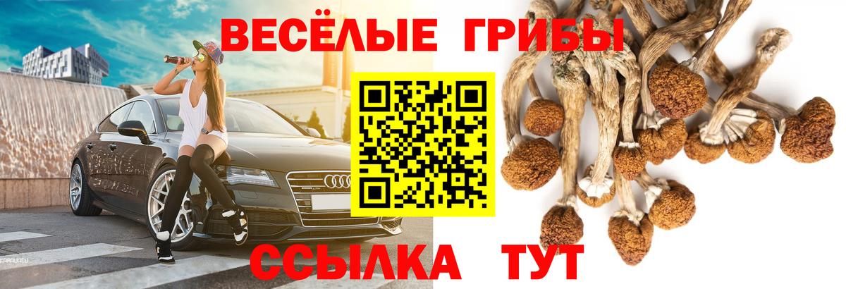Псилоцибиновые грибы прущие грибы  Галлюциногенные грибы Psilocybine cubensis  Лысьва  Вход с VPN 